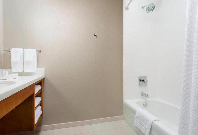 Студия Стандарт, Springhill Suites By Marriott San Diego Mission Valley