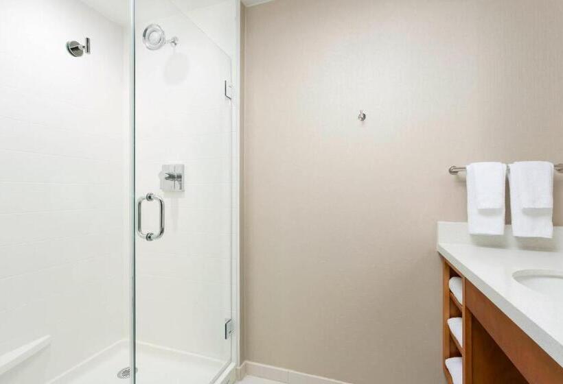 חדר סטודיו סטנדרד, Springhill Suites By Marriott San Diego Mission Valley