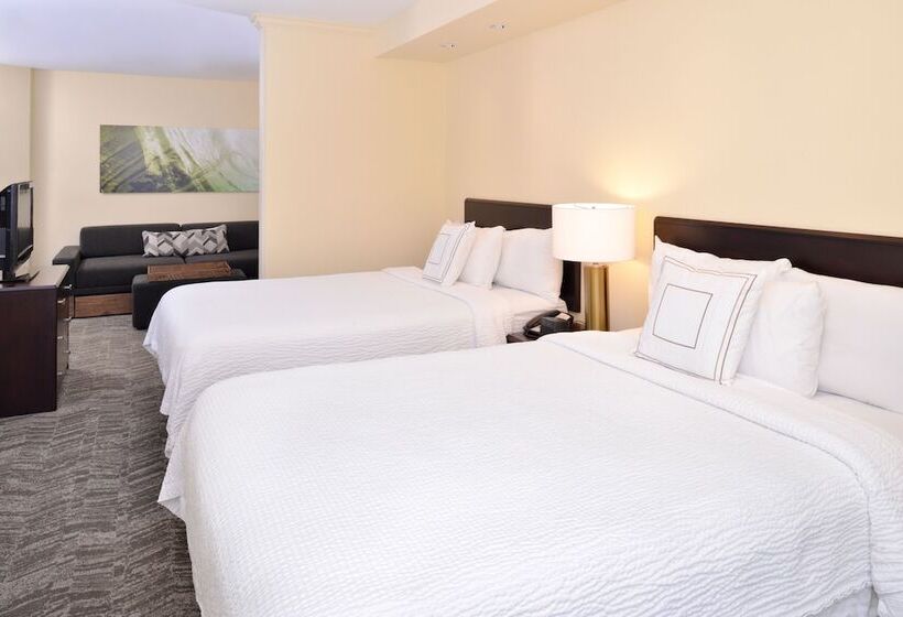 חדר סטודיו סטנדרד, Springhill Suites By Marriott San Diego Mission Valley