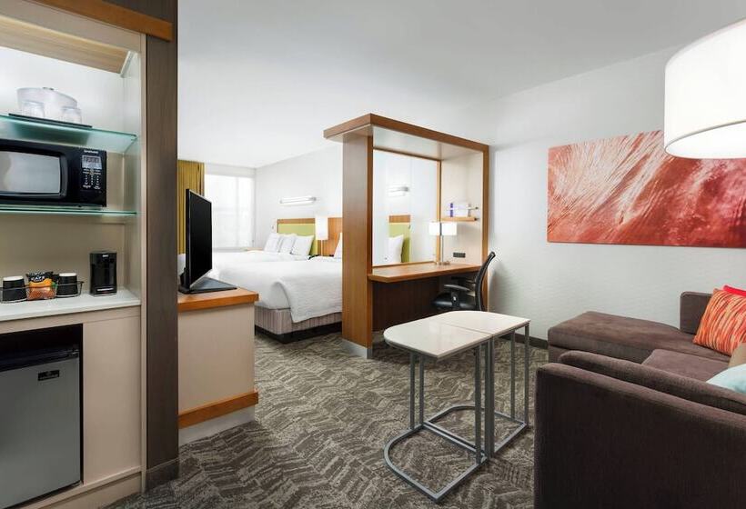 Студия Стандарт, Springhill Suites By Marriott San Diego Mission Valley