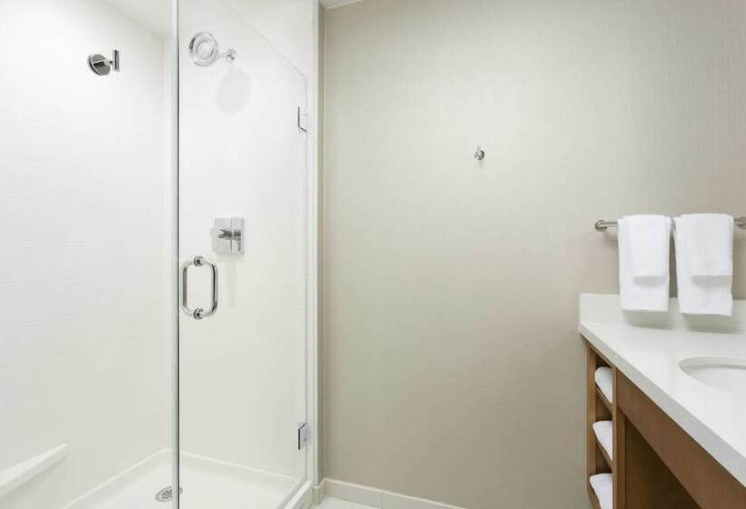 Студия Стандарт, Springhill Suites By Marriott San Diego Mission Valley