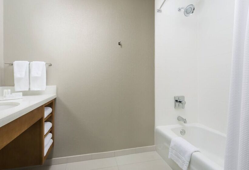 חדר סטודיו סטנדרד, Springhill Suites By Marriott San Diego Mission Valley
