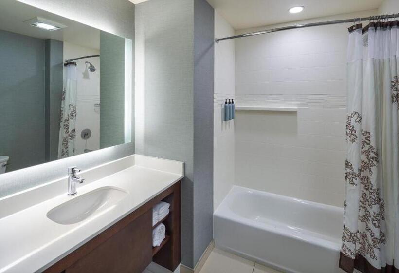 Люкс, Residence Inn By Marriott Philadelphia Airport