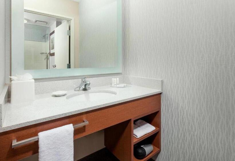 Студио Стандарт Кровать Кинг, Springhill Suites Chicago Downtown/river North