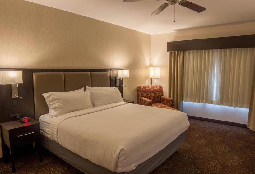 스탠다드 룸 킹사이즈 침대, Holiday Inn Trophy Club, An Ihg