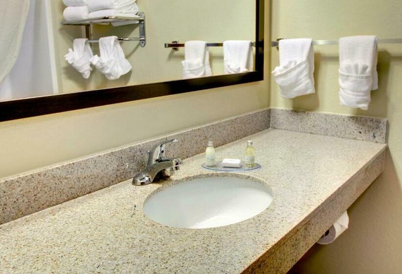 스탠다드 룸 킹사이즈 침대, Cobblestone Inn & Suites  Steele