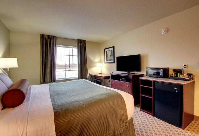 장애인을 위한 킹사이즈 침대 스탠다드 룸, Cobblestone Inn & Suites  Steele