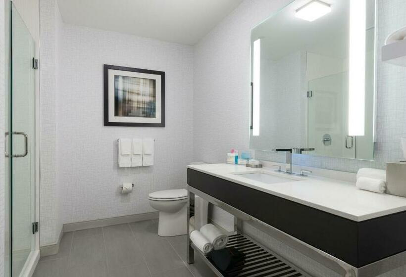 Люкс Deluxe Кровать Кинг, Hampton Inn & Suites Worcester