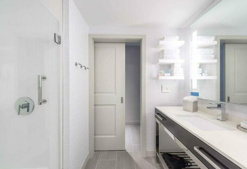 Стандартный Номер Кровать Кинг, Hampton Inn & Suites Worcester