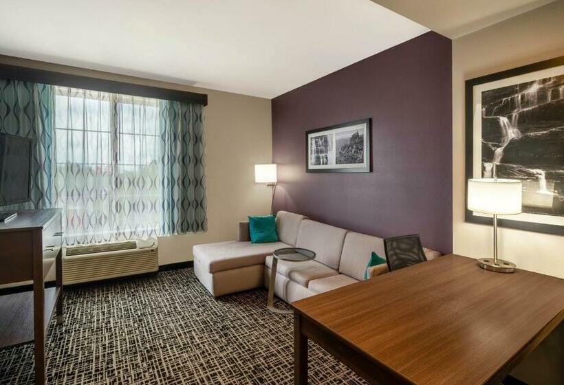 Cameră Executive Pat King Size, La Quinta By Wyndham Chattanooga   Lookout Mtn