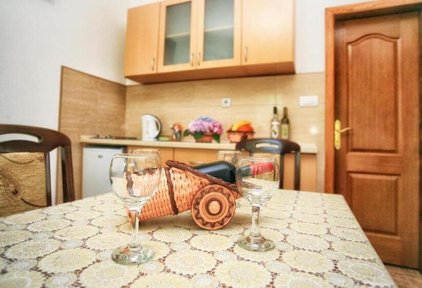 آپارتمان 1 خوابه با چشم‌انداز استخر, Apartments Maxi Katić