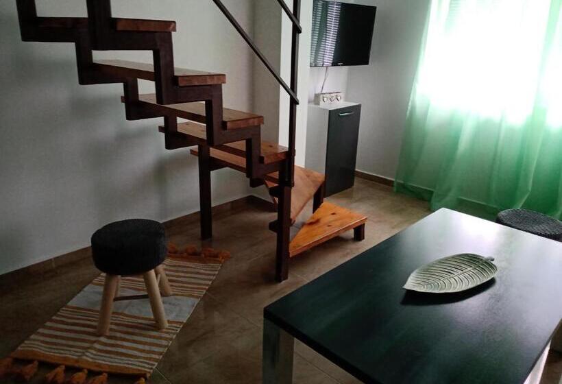 Студия Стандарт, Guest House аnestievi