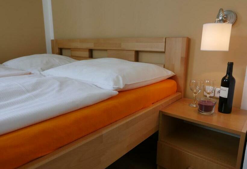 低层单卧公寓, Pension Aspen Harrachov