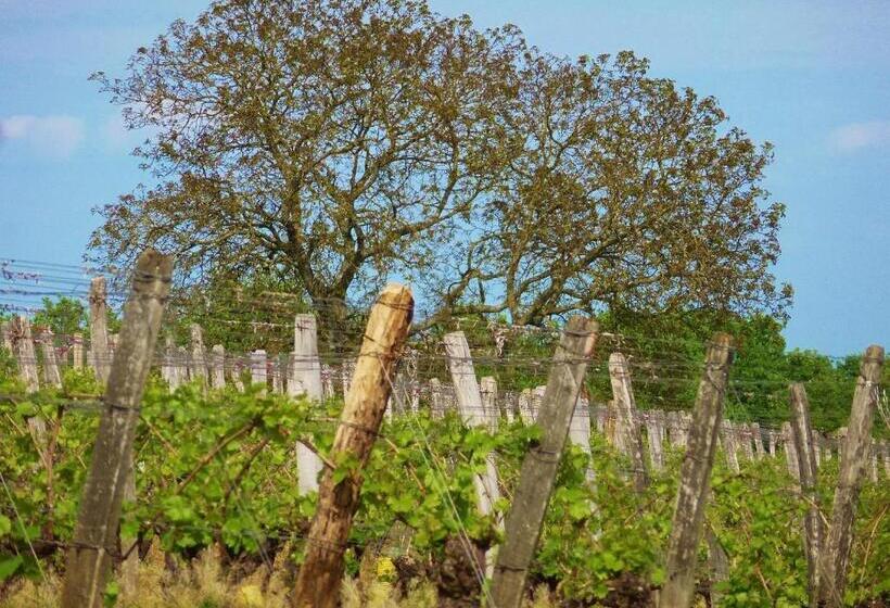 小室, Domaine Joseph Lafarge Wine Resort Oeno Tonneaux Expérience