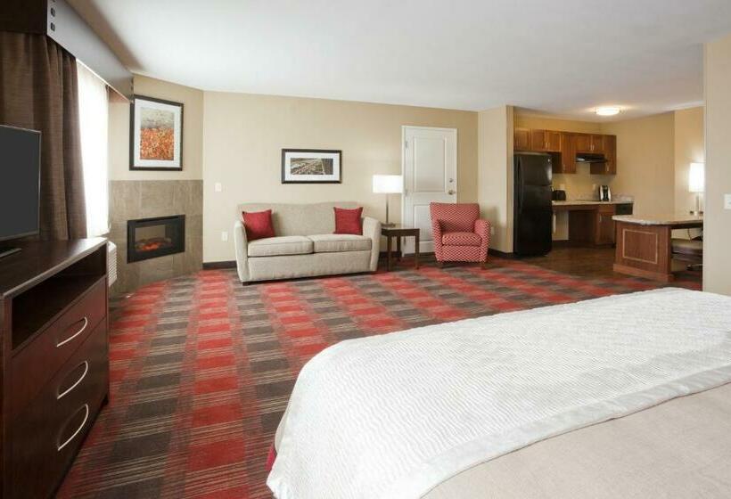 Студия Стандарт Двуспальная Кровать, Gateway Park Hotel And Suites   Tea Sioux Falls