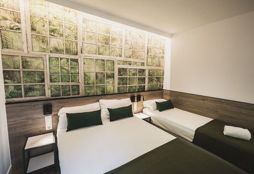 Номер Стандарт Трехместный, Casp Green House