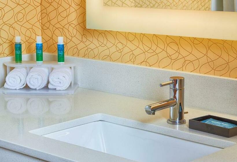 스탠다드 룸 킹사이즈 침대, Holiday Inn Express Bordentown   Trenton South, An Ihg
