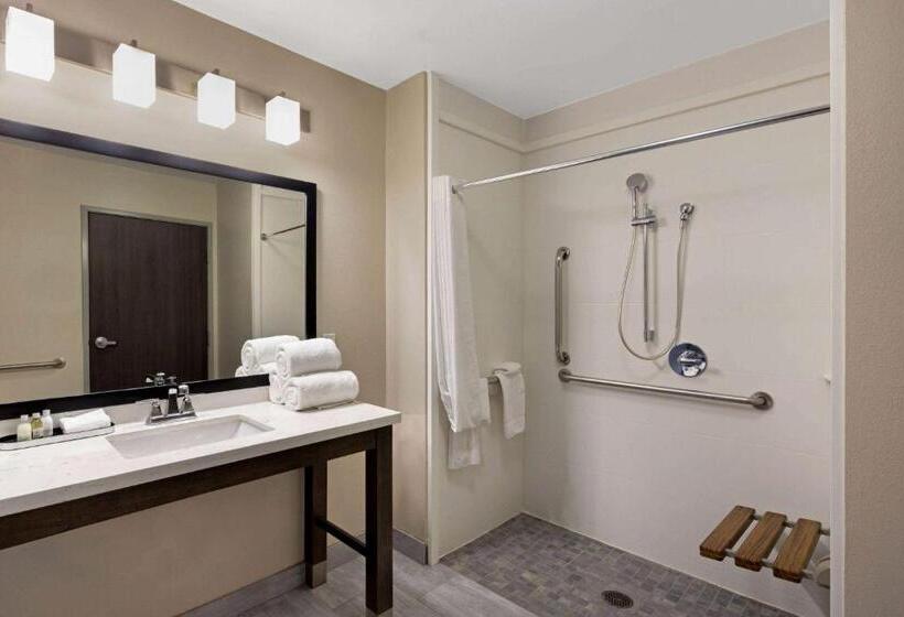 Номер Стандарт Кровать Кинг Адаптированный для Инвалидов, La Quinta By Wyndham Morgan Hill San Jose South