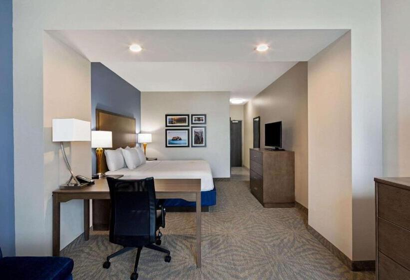 Номер Стандарт Адаптированный для Инвалидов, La Quinta By Wyndham Morgan Hill San Jose South