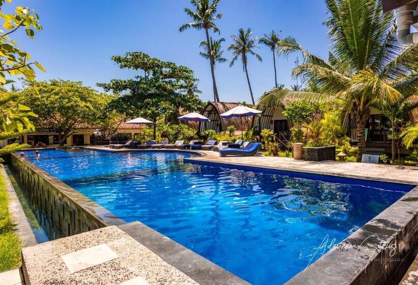 اتاق خانوادگی, Oceans 5 Dive Resort