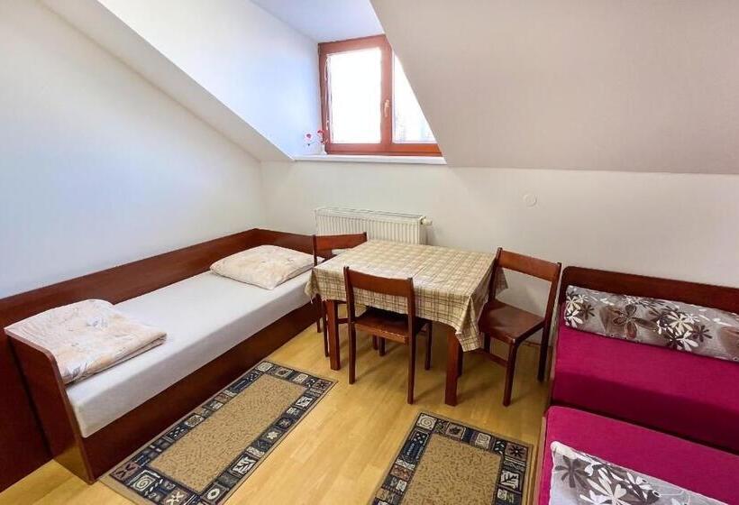 اتاق استاندارد سه نفره, Penzion Navara