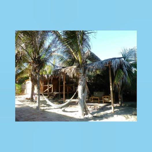 اتاق استاندارد با چشم‌انداز دریا, Marcilia Beach Bungalows