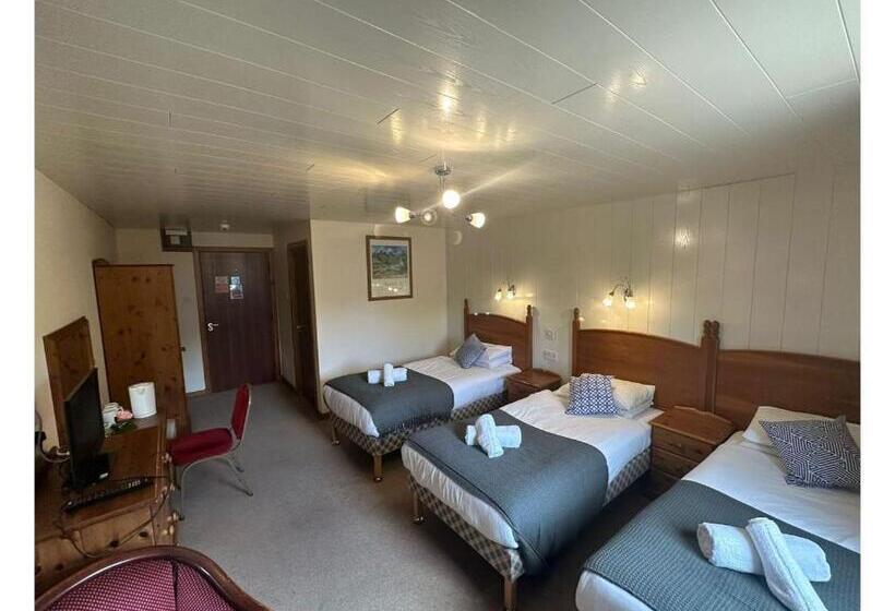 Номер Стандарт Трехместный, Oyo Mackay S Travel Lodge