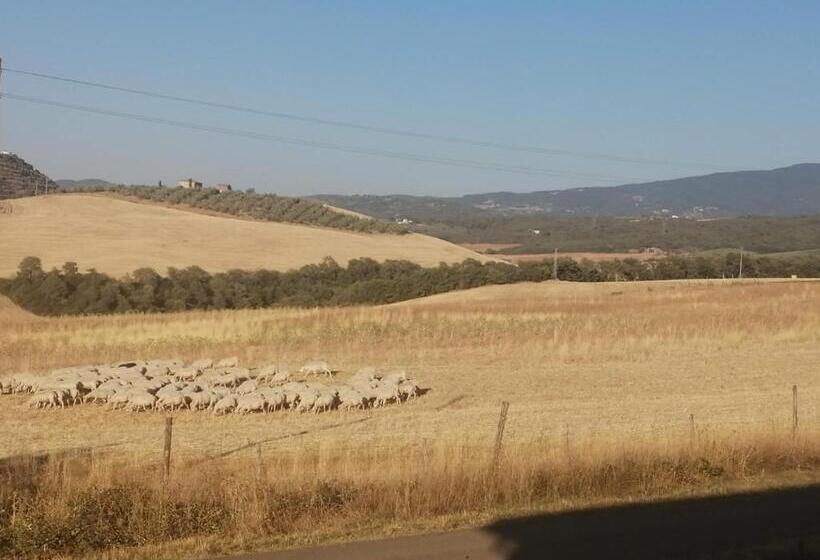 Вилла с 1 спальней и бассейном, Podere Stabbiatelli
