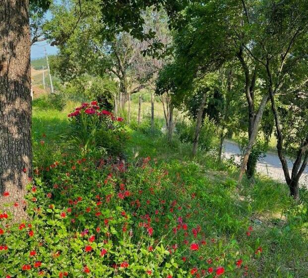 Вилла с 1 спальней и бассейном, Podere Stabbiatelli
