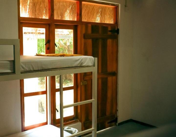 تختخواب در اتاق مشترک, Bay Surf Hostel