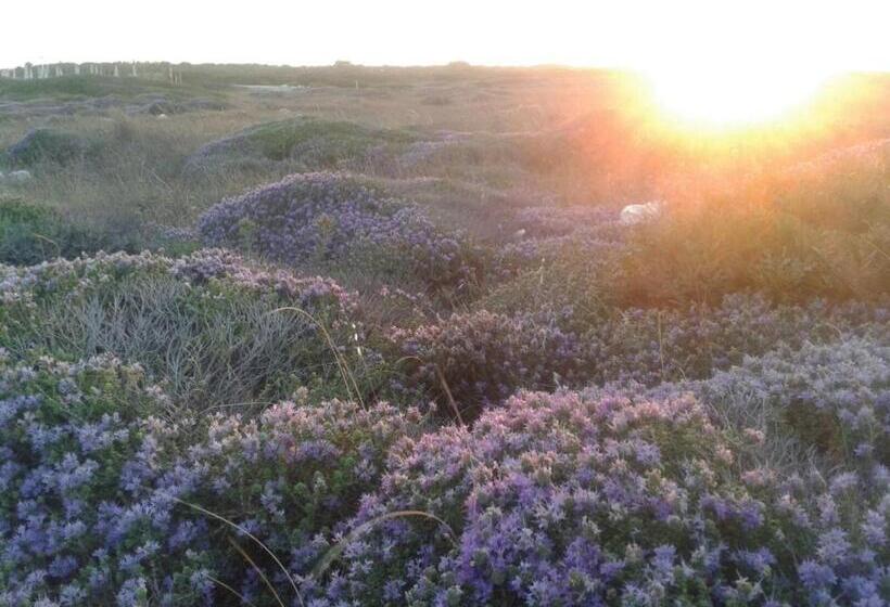 استودیوی استاندارد با چشم‌انداز دریا, Calanca Apulian Residence