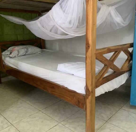 공동 객실, Taida Experiences Hostel