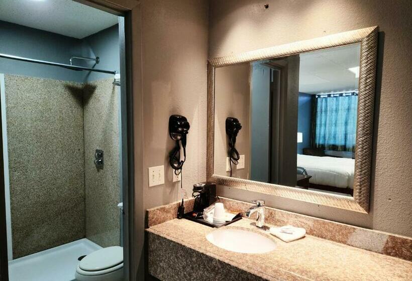 Стандартный Номер Кровать Кинг, Executive Inn