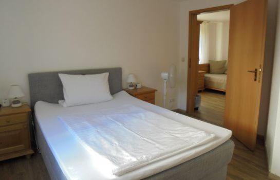 Номер Стандарт, Pension Hommen