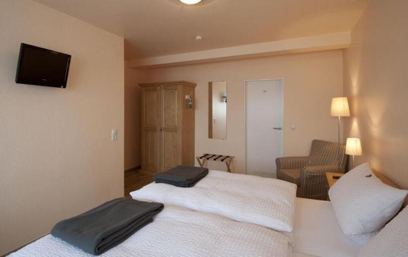 Номер Стандарт, Pension Hommen