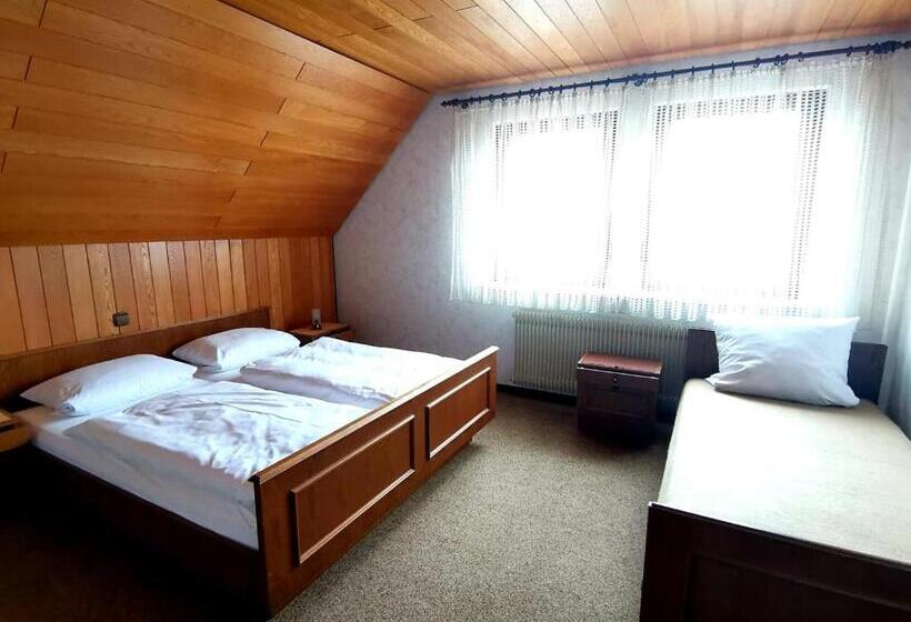 Номер Стандарт Трехместный, Gasthaus Pflug