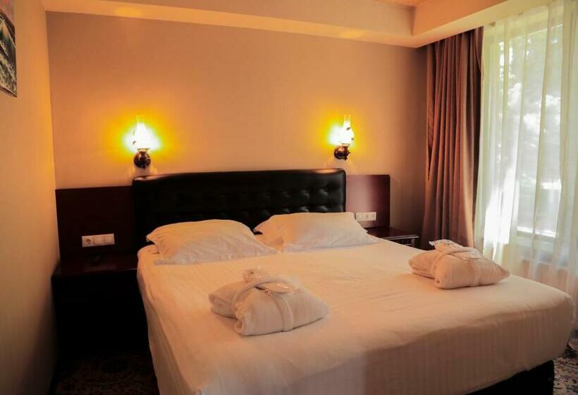 اتاق استاندارد, Borjomi Palace Health & Spa Center