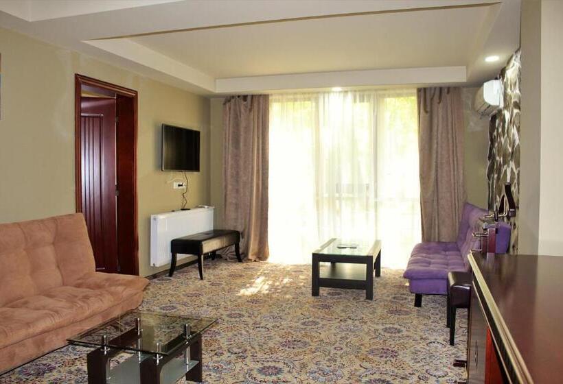 اتاق کلاسیک خانوادگی, Borjomi Palace Health & Spa Center