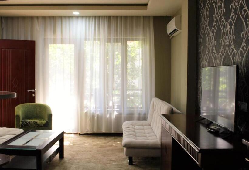 اتاق کلاسیک خانوادگی, Borjomi Palace Health & Spa Center
