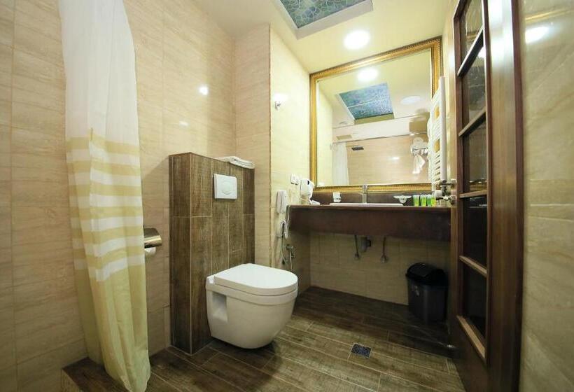آپارتمان 1 خوابه, Borjomi Palace Health & Spa Center
