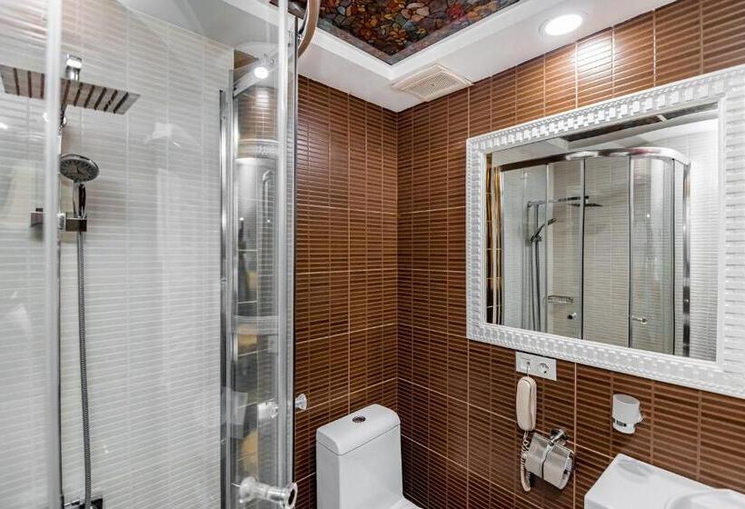 اتاق استاندارد, Borjomi Palace Health & Spa Center
