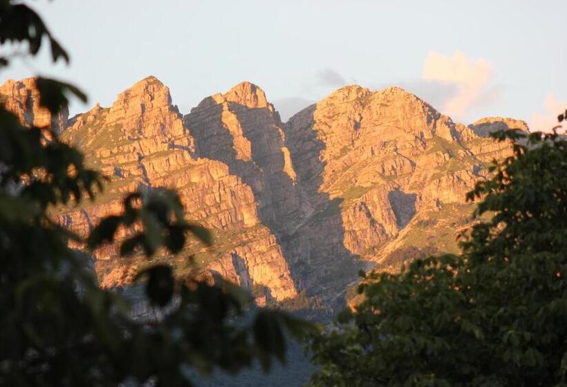 اتاق استاندارد, Alberi