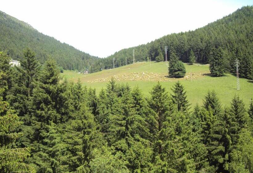 اتاق پنت هاوس, Des Alpes