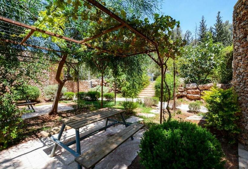 Suite, Tur Sinai Organic Farm Resort