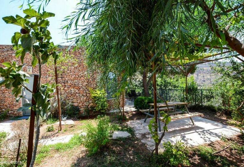 Suite, Tur Sinai Organic Farm Resort