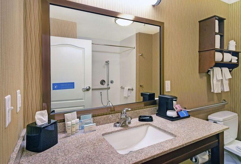 适合残疾人使用的标准间, Hampton Inn & Suites Milwaukee/franklin