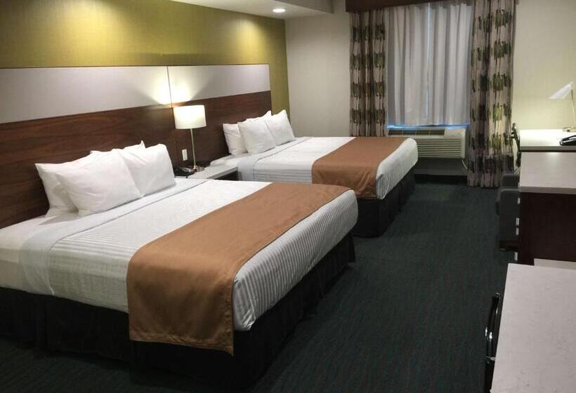 标准间, Best Western Plus Gardena Los Angeles Inn & Suites