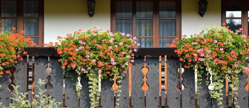 스탠다드 싱글 룸, Genusshotel Hirschen   Erholung Im Grünen
