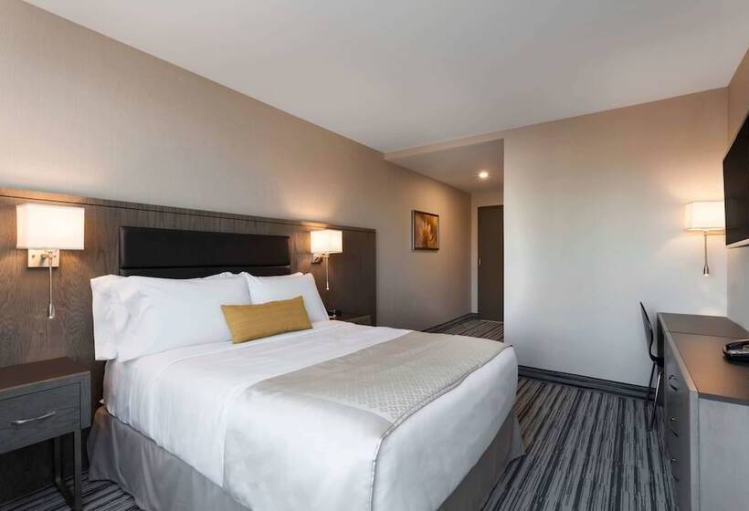 Номер Премиум, Wyndham Garden Laguardia South