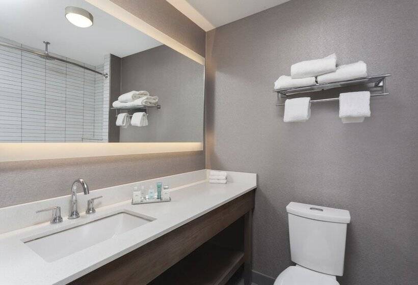 Номер Стандарт Адаптированный для Инвалидов, Wyndham Garden Laguardia South